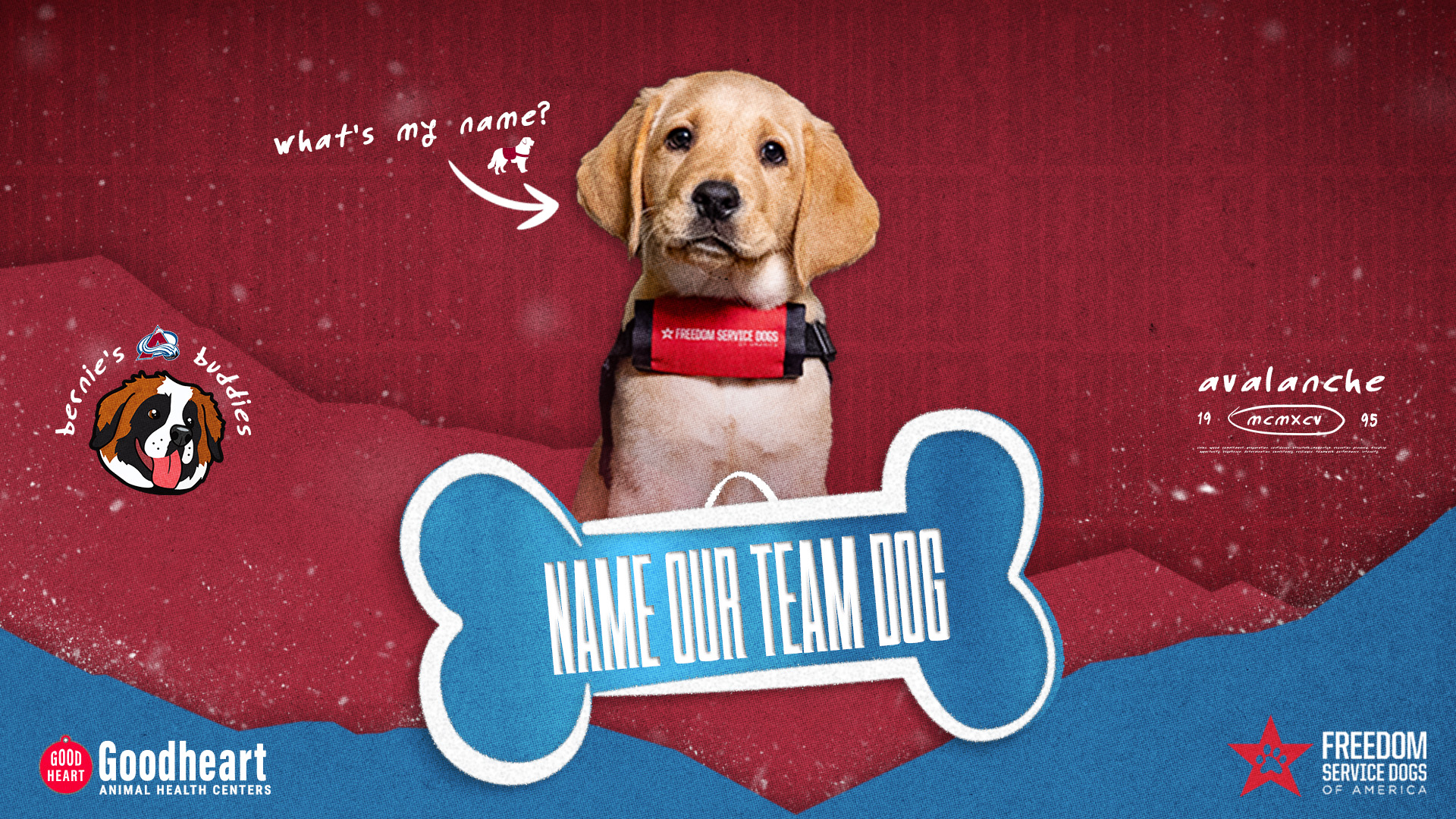 Team Dog ETw