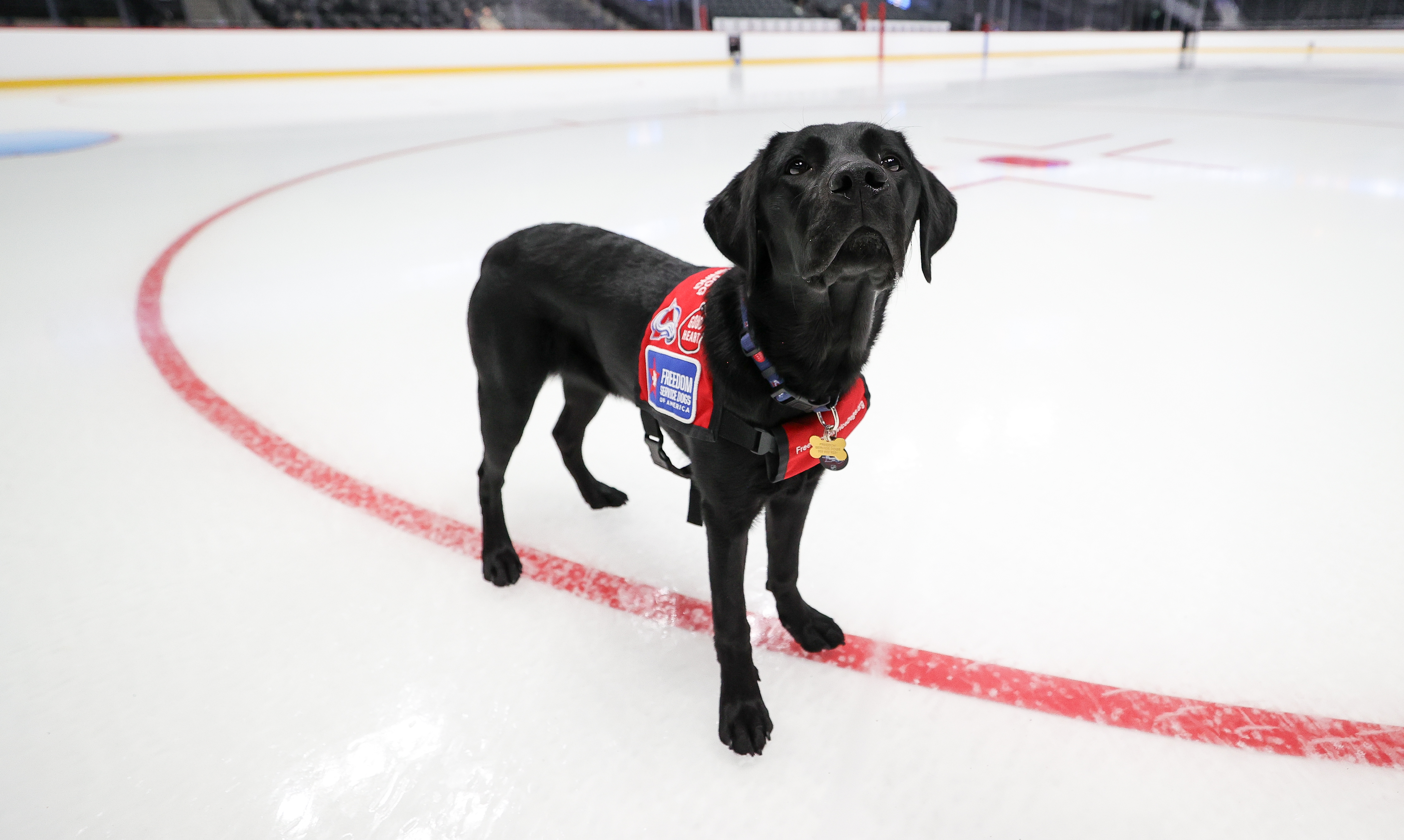 Maxy’s Making Her Mark