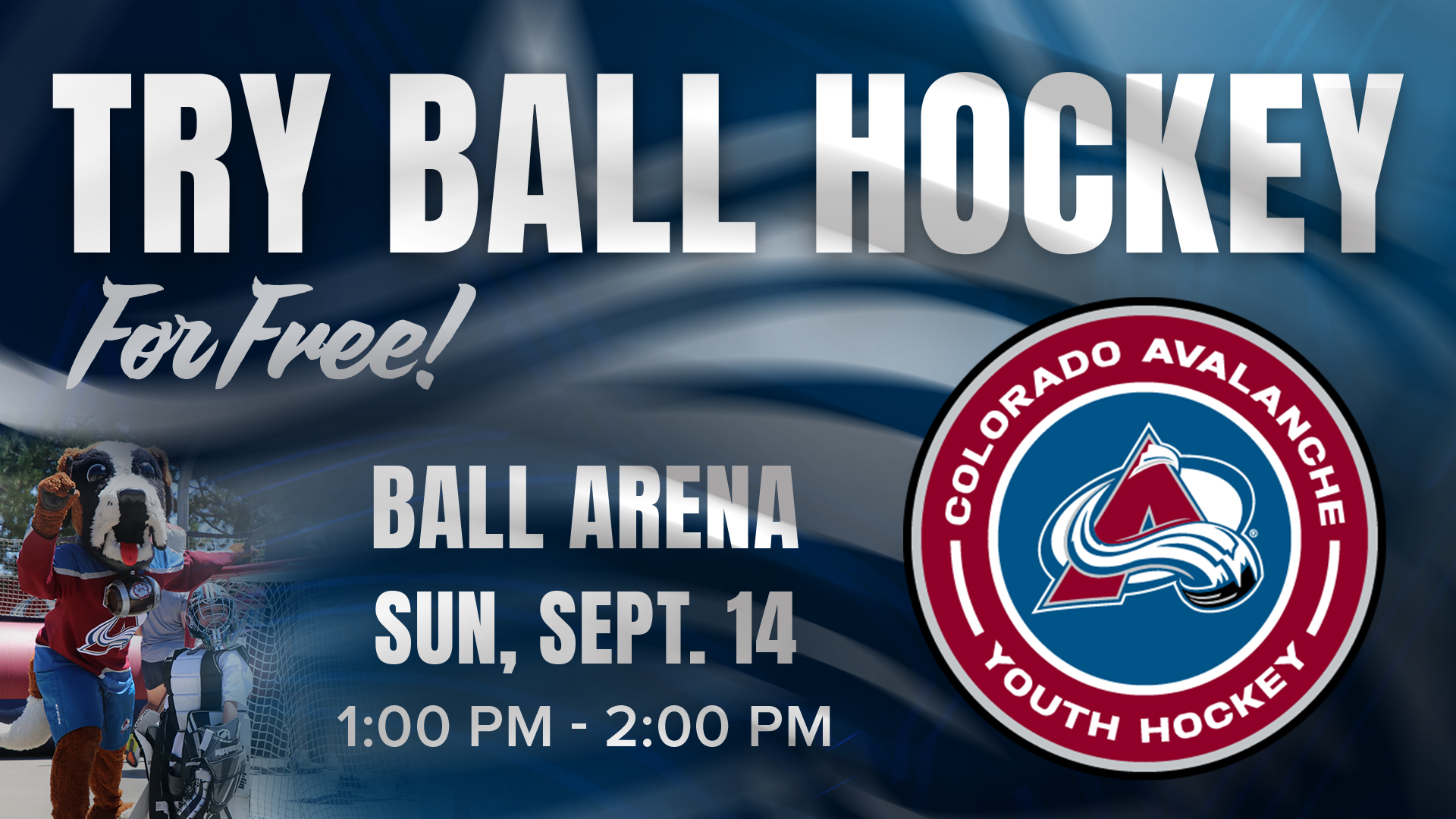 Try Ball Hockey for Free
