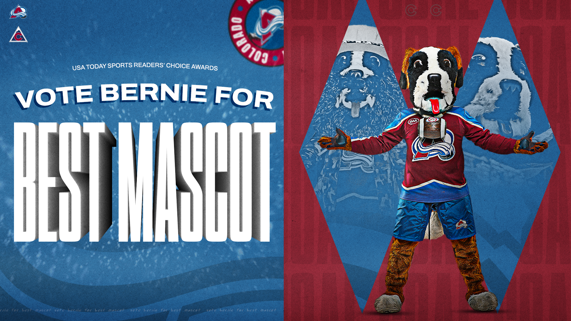 Vote for Bernie as Best NHL Mascot